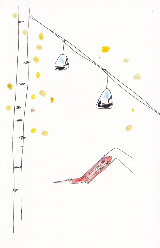 Aspen Cowgirl 6