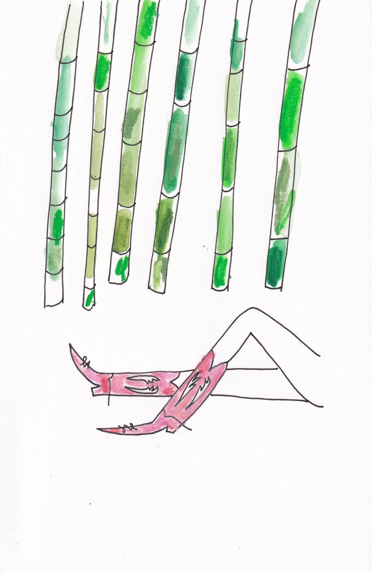 Cowgirls in Japan: Bamboo Forest